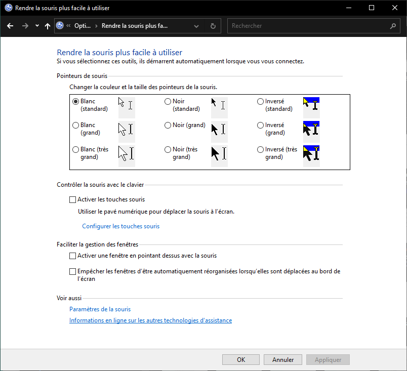 Rendre la souris plus facile à utiliser avec Windows 10