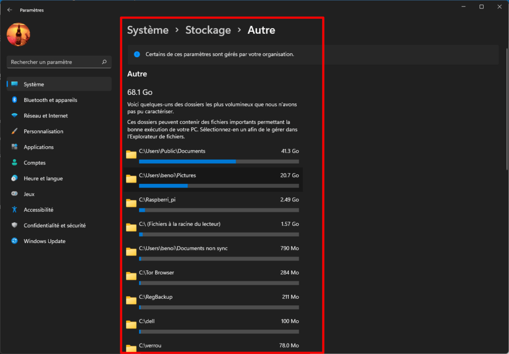 L'onglet Autre du gestionnaire de stockage de Windows 11